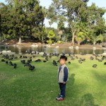 20120329USA-firstthree091