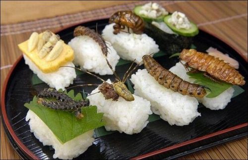 bug-sushi